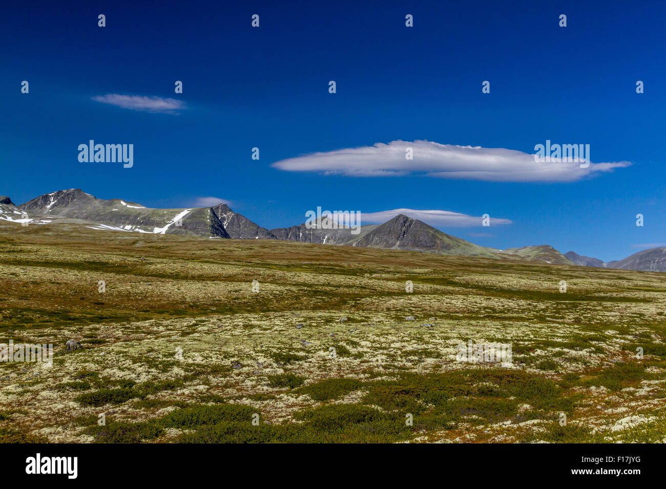 High Resolution Rondane Rondanenasjonalpark High Resolution Stock Photography and Images - Alamy