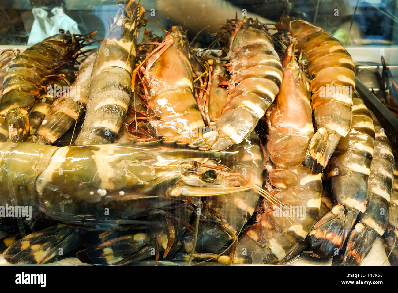 Gamba prawns hires stock photography and images Alamy