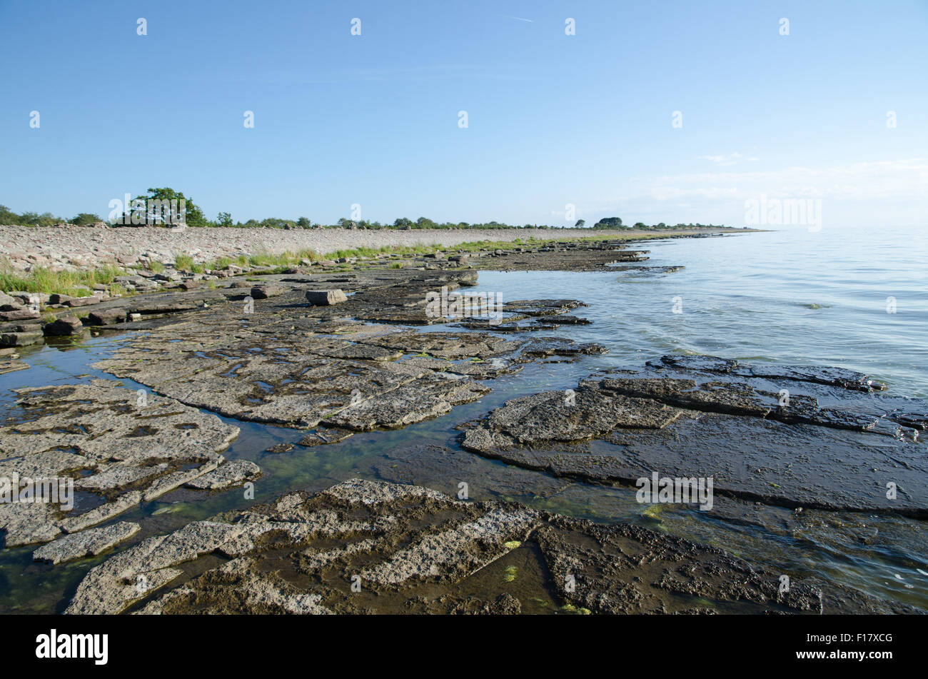 Flat rock limestone coast at the swedish island Oland in the Baltic Sea Stock Photo