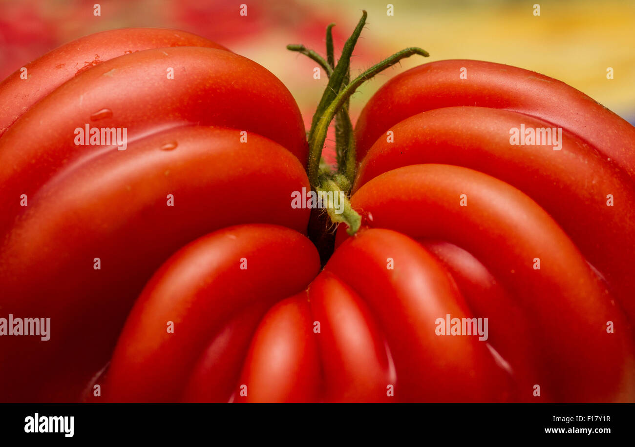 odd shaped deformed red tomato with green stalk Stock Photo Alamy