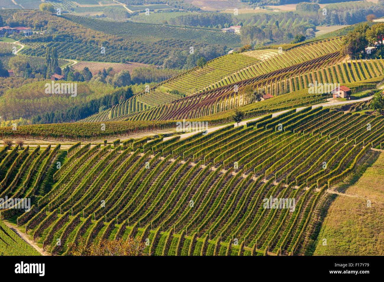 View on hills and autumnal vineyards of Piedmont, Northern Italy. Stock Photo