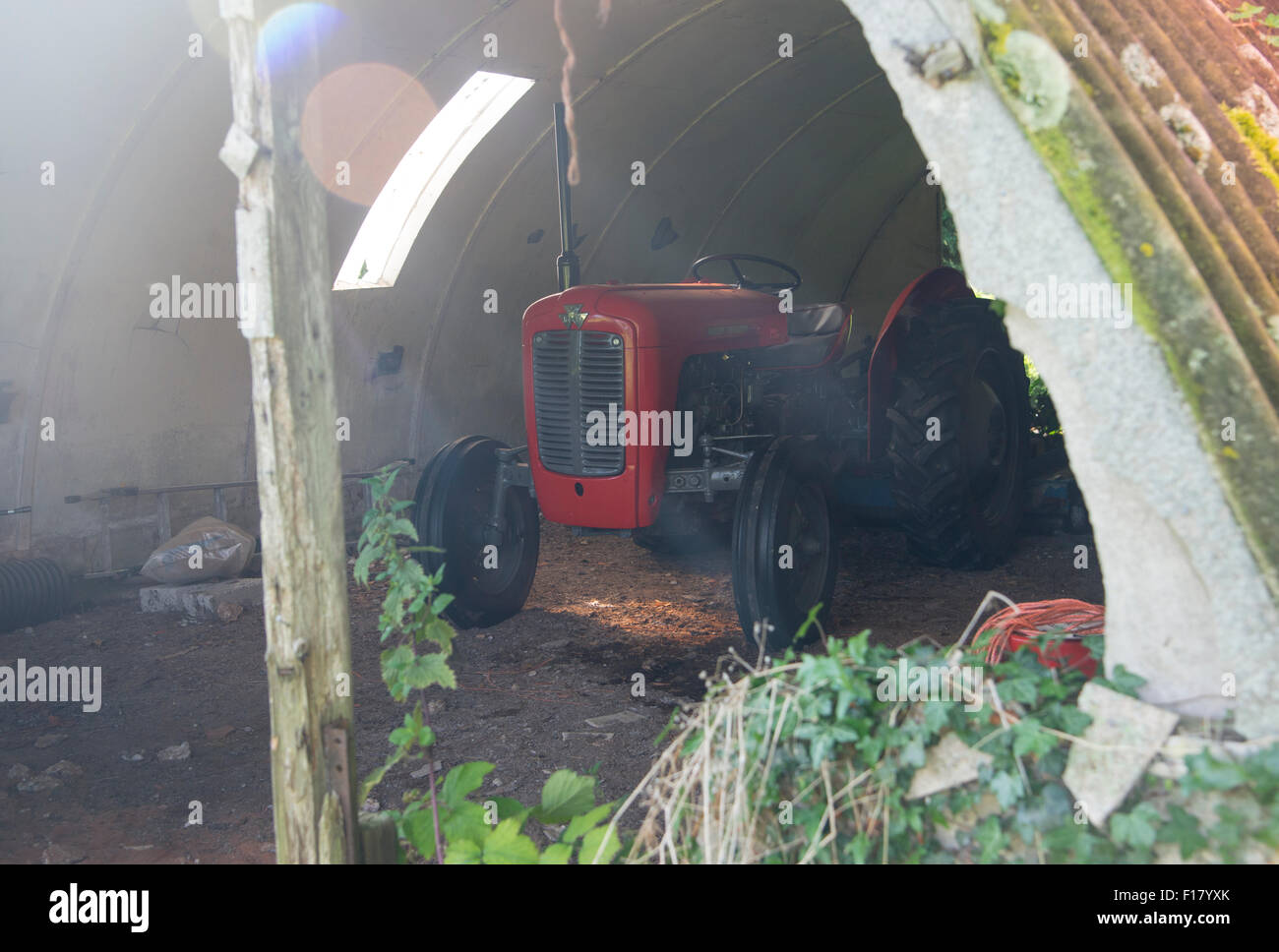 Vintage Massey Ferguson tractor in an old anderson shelter type barn Stock Photo