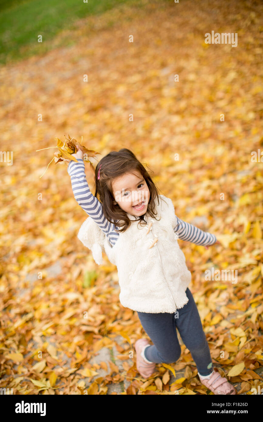 Little girl at the autumn leaves Stock Photo - Alamy