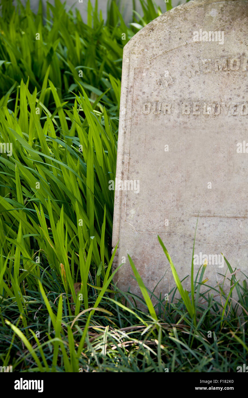 Grave Stone sitting in bright green grass that reads "In Memory, Our Beloved" Stock Photo