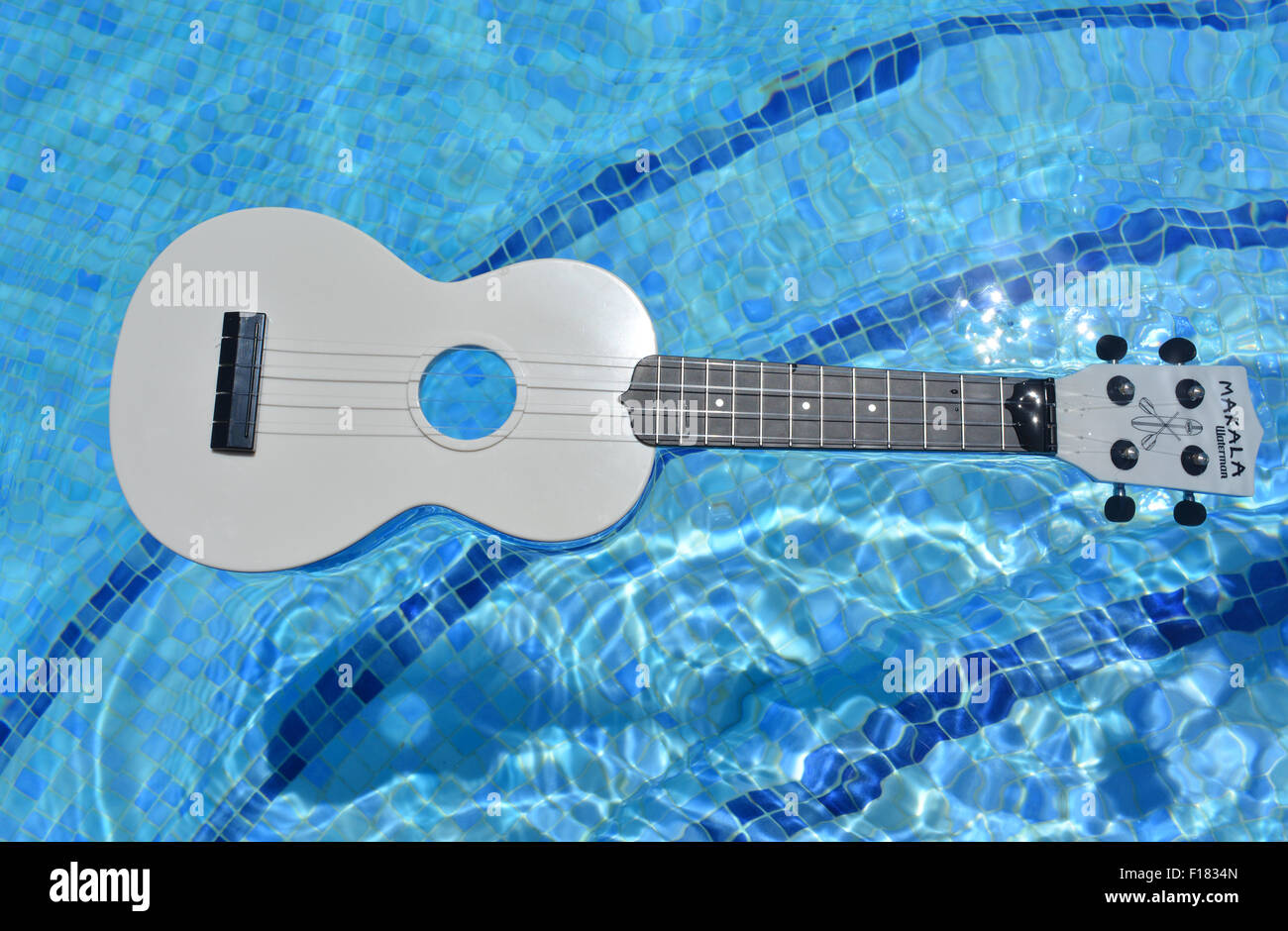 Makala Waterman soprano ukulele. Blue plastic waterproof uke floating in a  swimming pool Stock Photo - Alamy