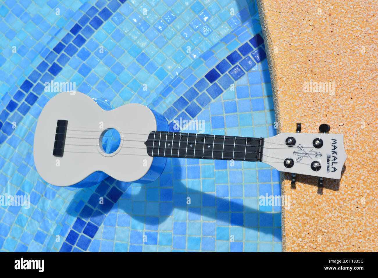Makala Waterman soprano ukulele. Blue plastic waterproof uke in a swimming  pool Stock Photo - Alamy