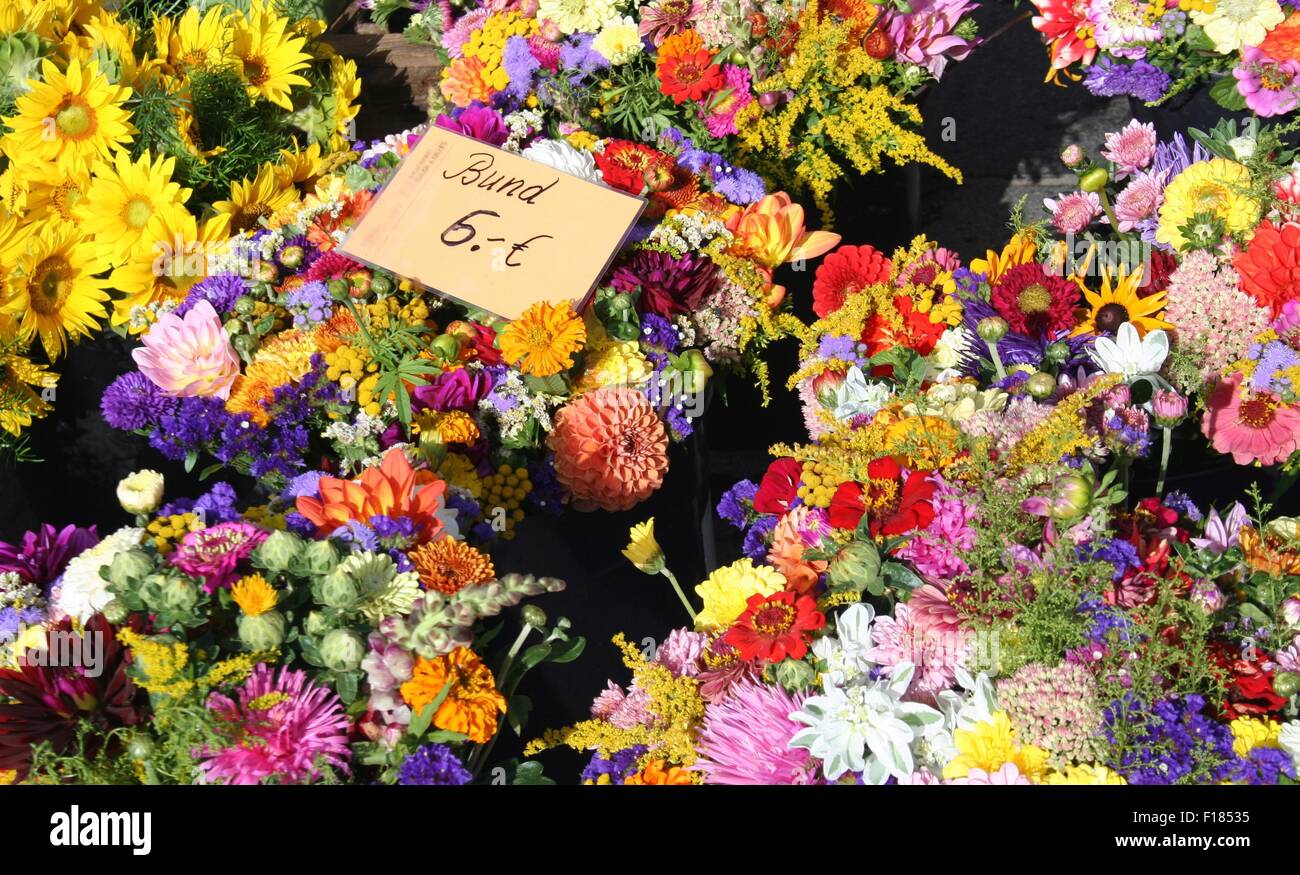 Bunches of colorful flowers, farmers market, Germany. Stock Photo