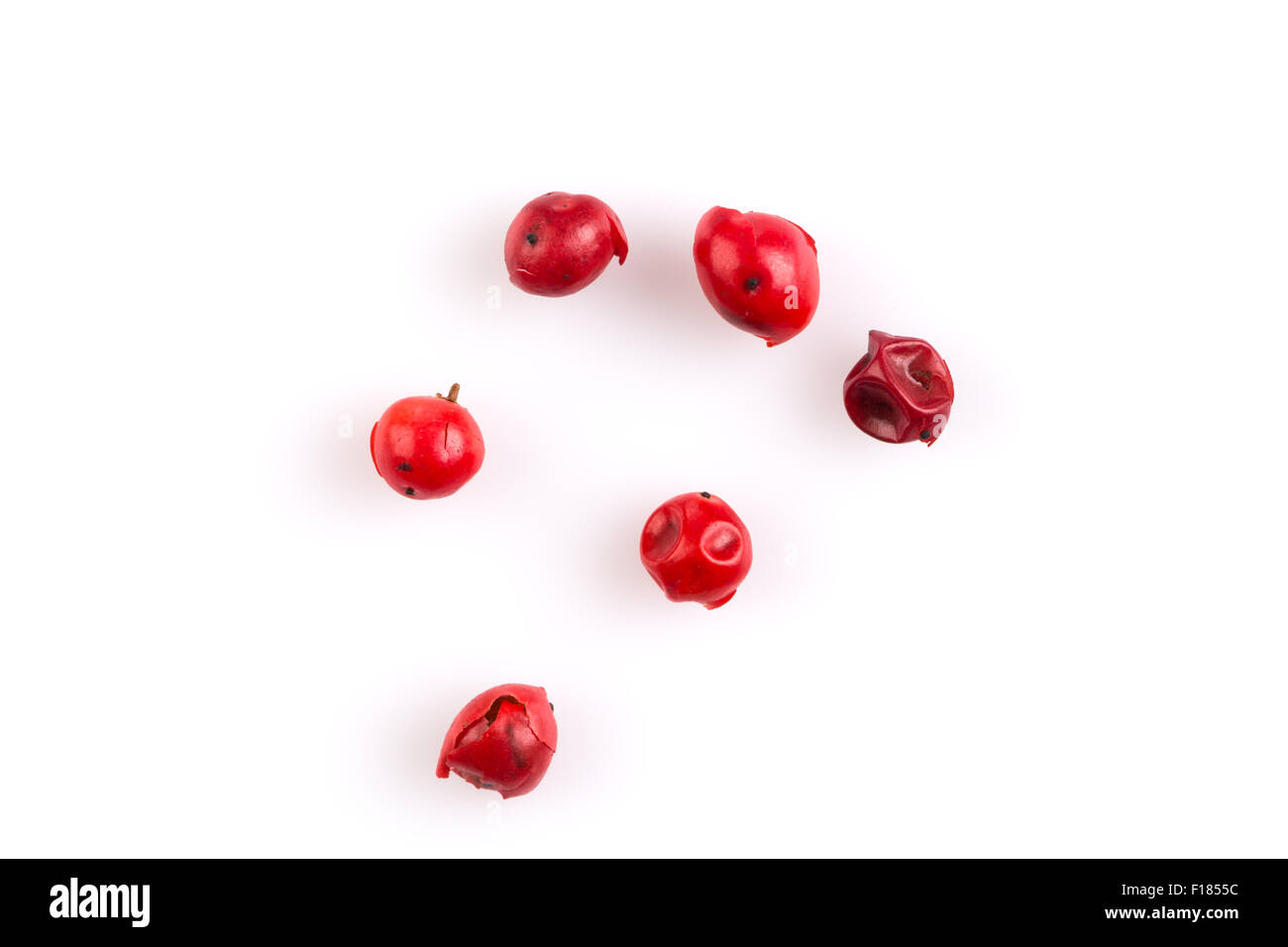 red peppercorns seeds isolated on white background Stock Photo Alamy