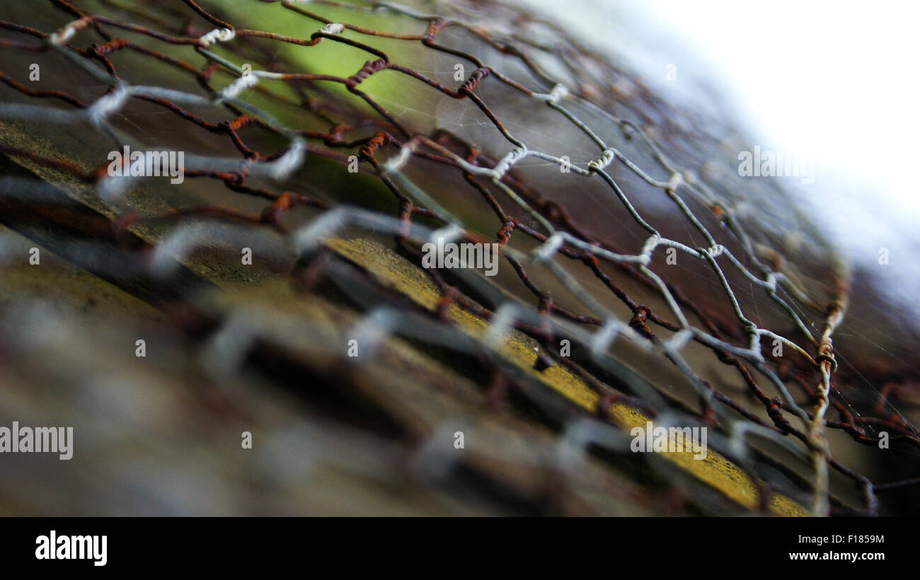 Side view of rusty chicken wire on wooden tiles Stock Photo