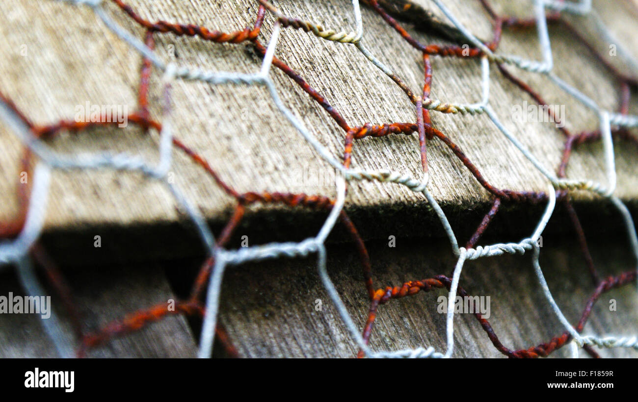 Detail of rusty chicken wire on wooden tiles Stock Photo