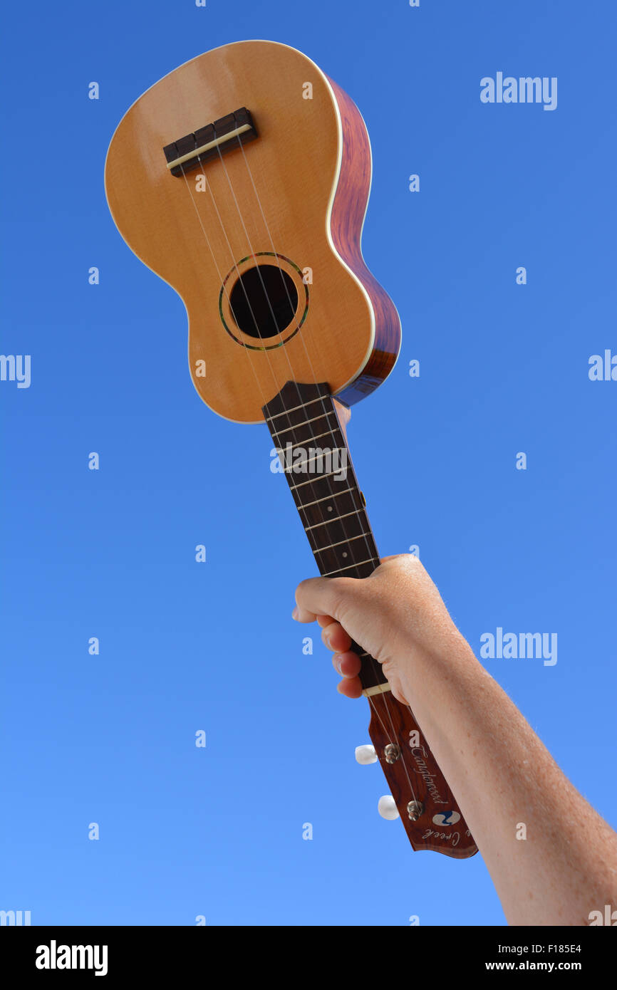 Tanglewood 'Cove Creek' soprano ukulele, Model TU2 Stock Photo