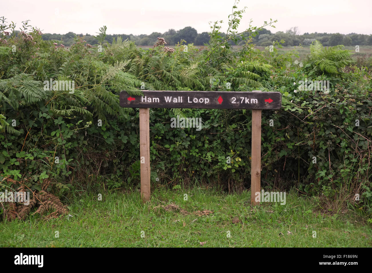 Ashcott somerset hires stock photography and images Alamy