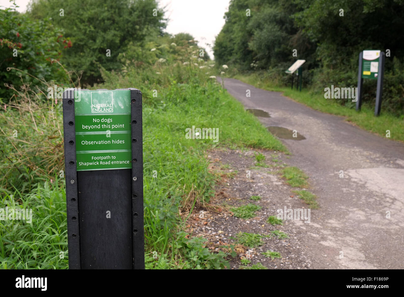 Nature reserve signs and path route ways at Ashcott in Somerset, path to Noah's Hide.  August 2015 Stock Photo