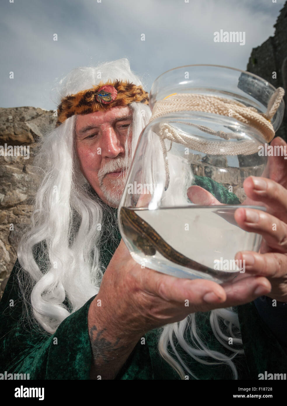 South Wales, UK, Saturday 29 August 2015. The 3rd annual Medieval Fair at Kidwelly Castle, near Llanelli, Carmarthenshire, Wales, UK. Pictured is Bob Edwards, 'Apothecary', with one of the tools of his trade, a leach, at Kidwelly Castle during bank holiday weekend. Credit:  Algis Motuza/Alamy Live News Stock Photo