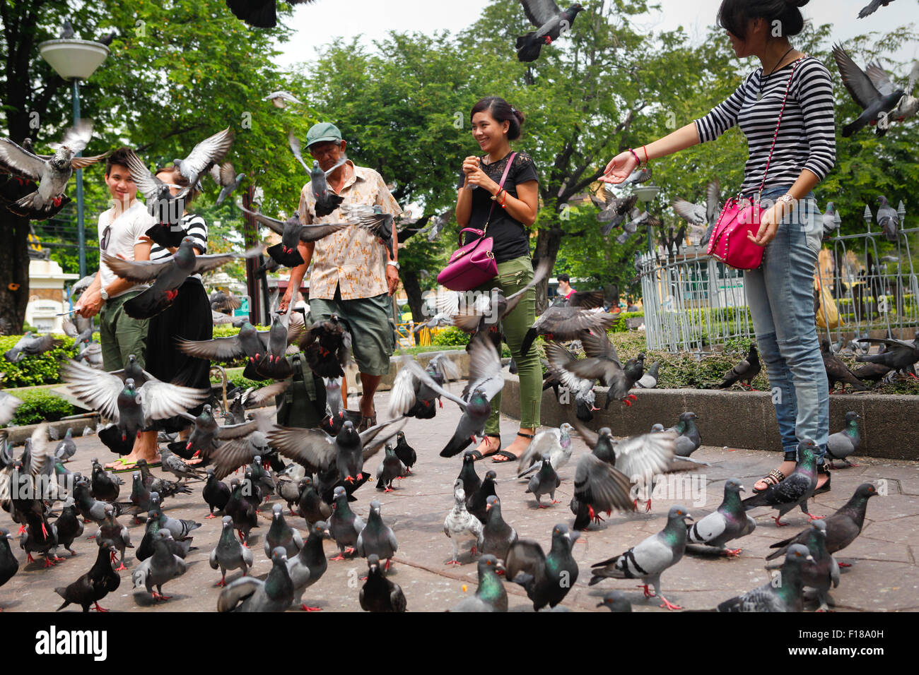 People feeds pigeons in a city park in Bangkok, Thailand, in 2013. Since 2018, feeding pigeon has been declared as illegal in the country. Stock Photo
