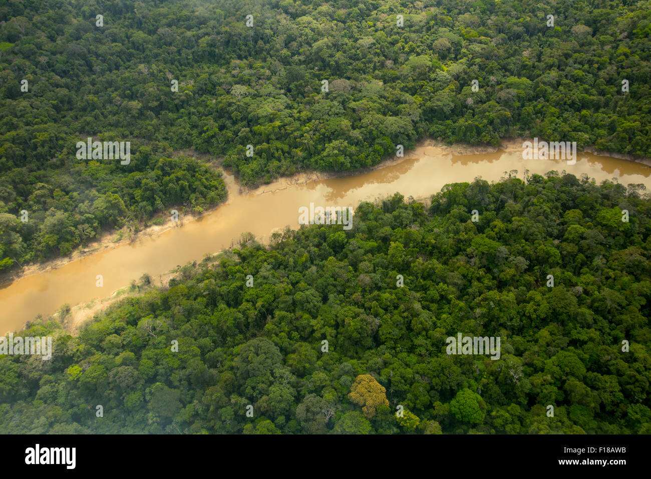 Amazon Rainforest aerial. Primary forest, Yavari Miri River, between
