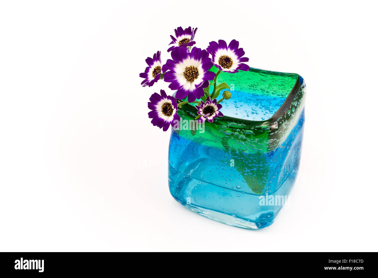 Flowers in blue glass vase isolated on white Stock Photo - Alamy