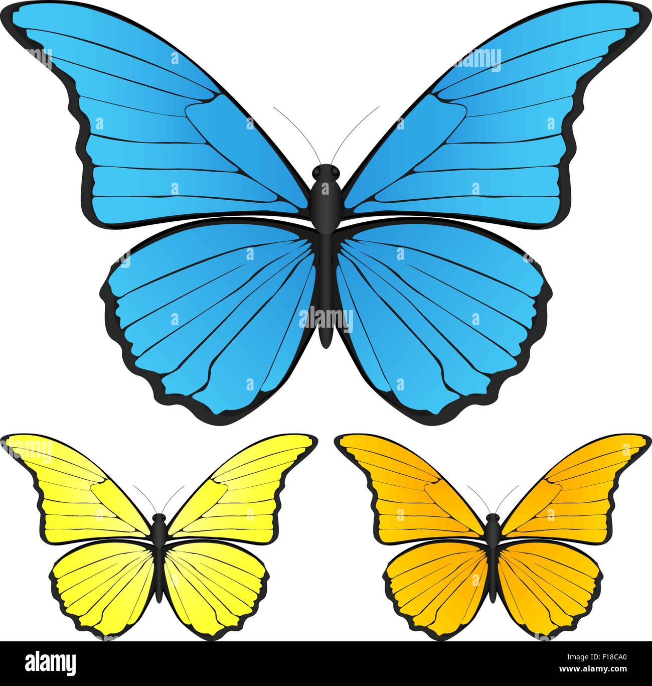 Butterfly set isolated on white background, Vector Stock Vector Image ...