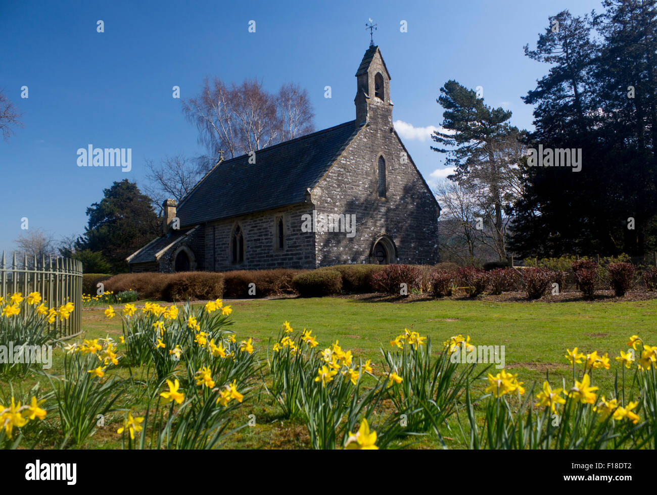 Rug Chapel Capel Rug in spring springtime with daffodils in foreground Near Corwen Denbighshire North East Wales UK Stock Photo
