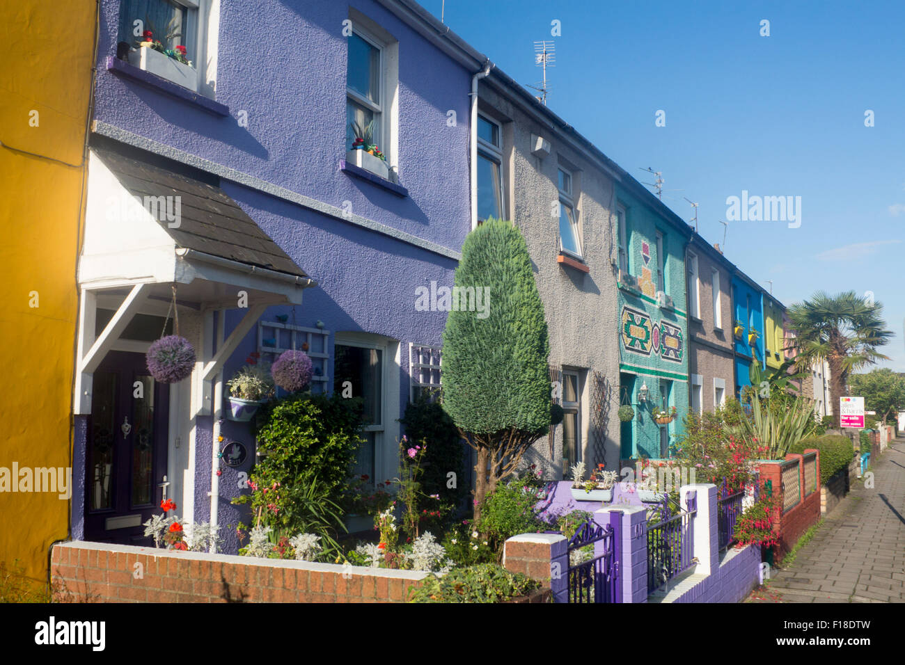 Colourful painted terrace terraced houses cottages Roath Cardiff Wales UK Stock Photo