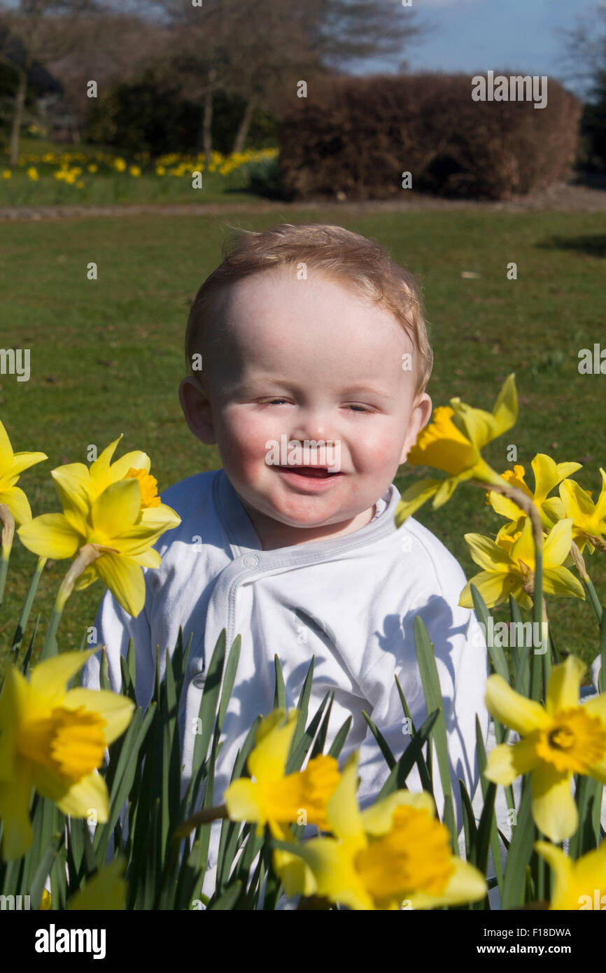 Baby boy aged around 9 months sitting on grass looking at daffodils wearing white suit Wales UK Stock Photo