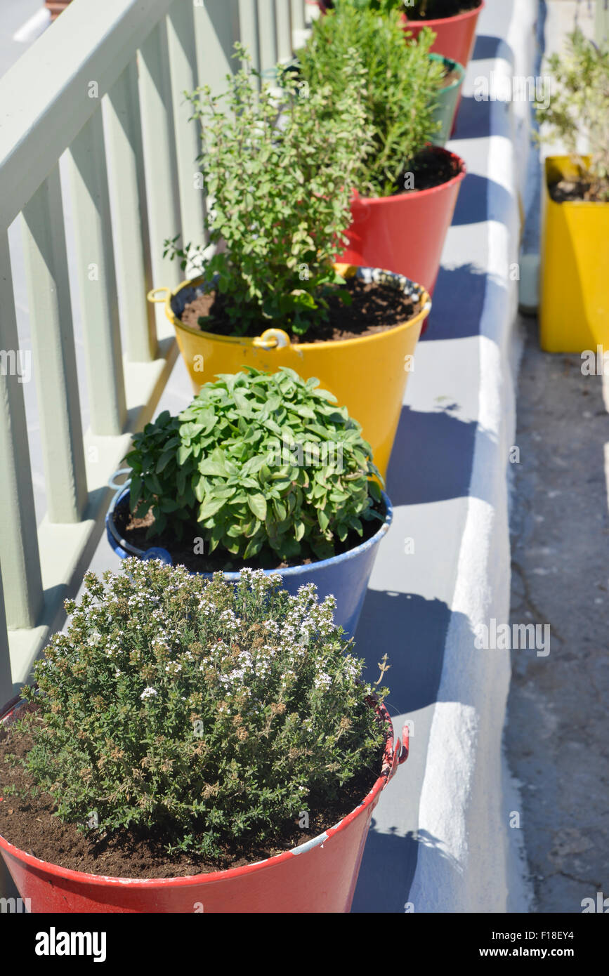 Herbs and spices plant pots hires stock photography and images Alamy