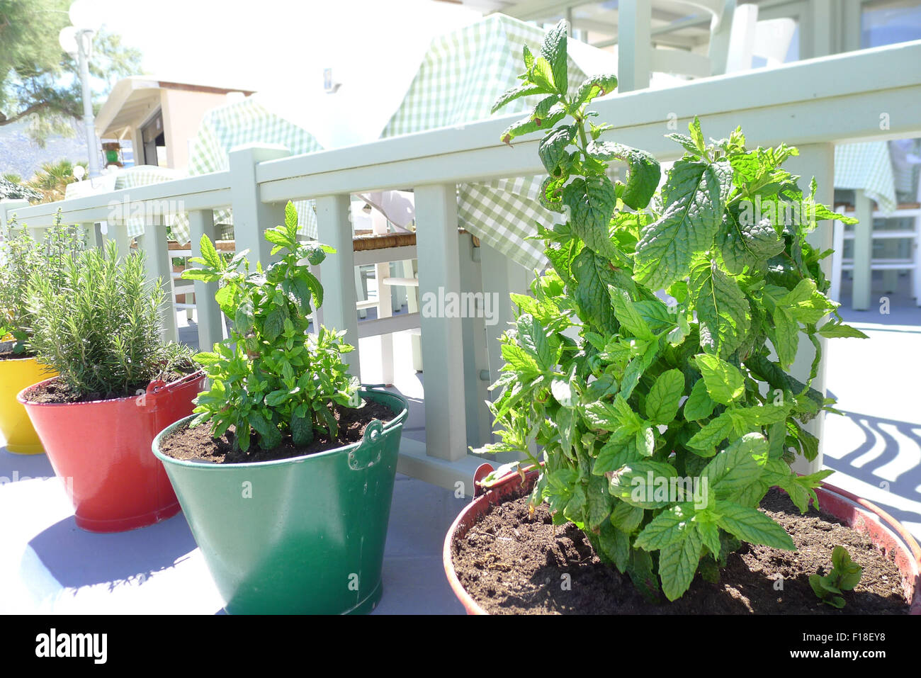 Herb planter box hires stock photography and images Alamy
