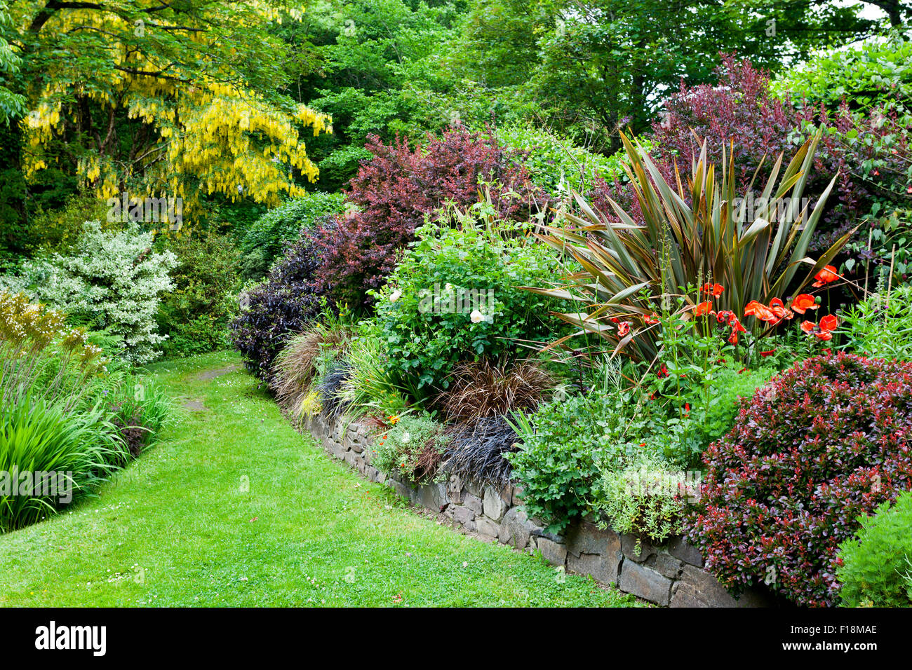 A colourful herbaceous border at Docton Mill Garden, near Hartland, north Devon, England, UK Stock Photo