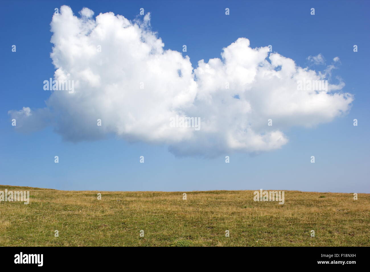 big cloud over the plain in summer day Stock Photo