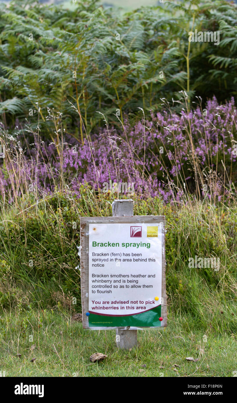 A warning sign regarding Bracken spraying on a heather moorland, England, UK Stock Photo