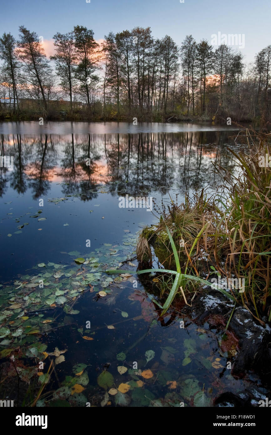 a Pond in autumn Stock Photo
