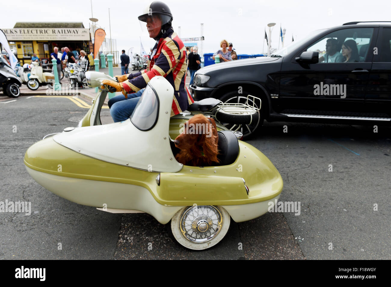 Brighton, UK. 30th August, 2015. A red setter dog rides in the sidecar of a scooter arriving for the Mod Weekender event in Brighton today Thousands of Mods with their scooters descend on Brighton for the annual Mod Weekender event which is a 3 day celebration of their vehicles , fashion and the 1960s Stock Photo