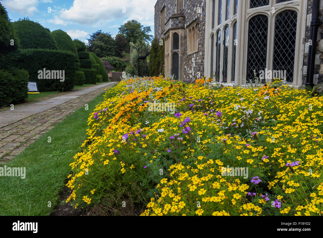Late Summer border with Marigold (tagetes) and Rudbeckias Stock Photo