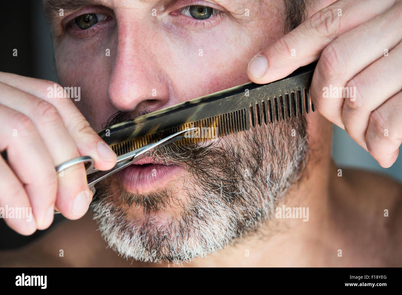 Male Trimming Beard Hi Res Stock Photography And Images Alamy