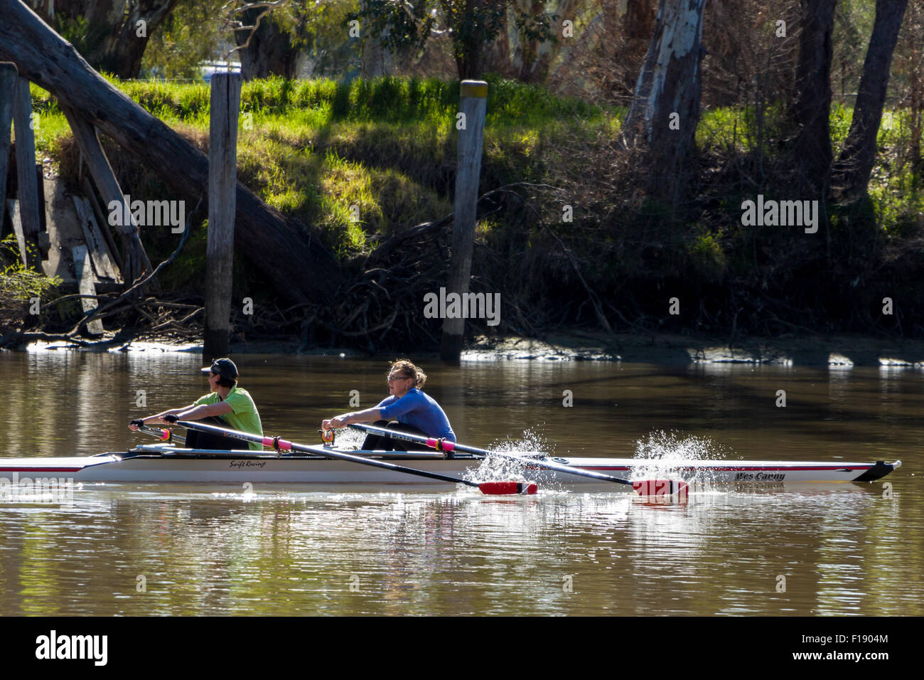 Two women rowing a double skull on the Murray River, Australia. Stock Photo