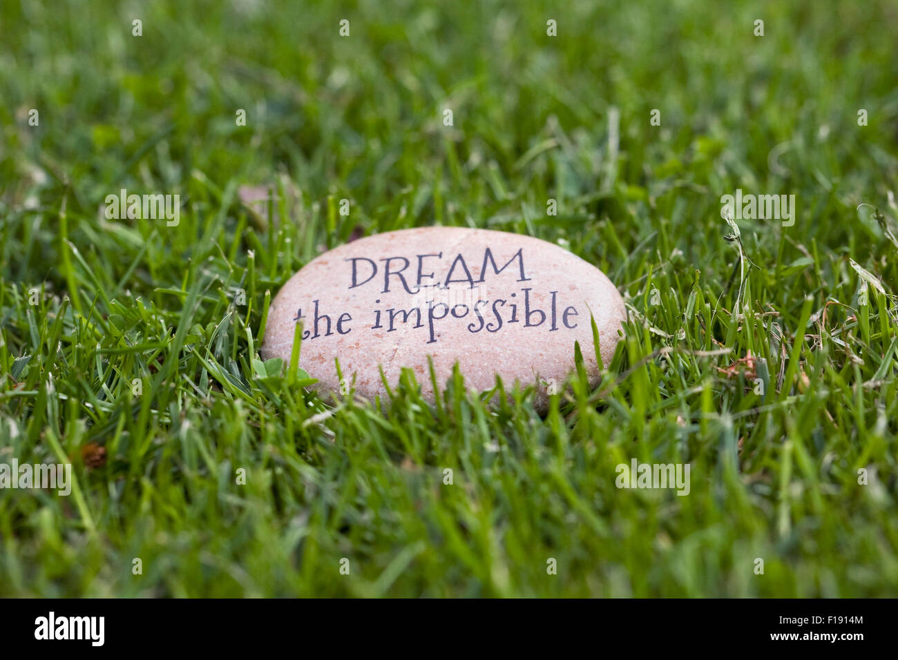 Dream the Impossible stone, in the grass. Stock Photo
