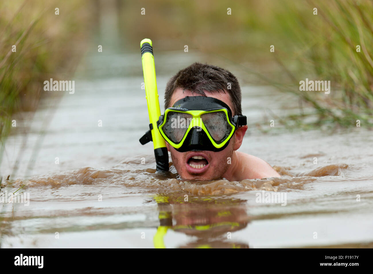 Llanwrtyd Wells, UK. 30th August, 2015. The World Bogsnorkelling Championships were conceived 30 years ago in a Welsh pub by landlord Gordon Green and are held every August Bank Holiday at Waen Rhydd Bog. Using unconventional swimming strokes, participants swim two lengths of a 55 metre trench cut through a peat bog wearing snorkel and flippers. The world record was broken in 2014 by 33 year old Kirsty Johnson from Lightwater, Surrey, in a time of 1 min 22.56 secs. Credit:  Graham M. Lawrence/Alamy Live News Stock Photo