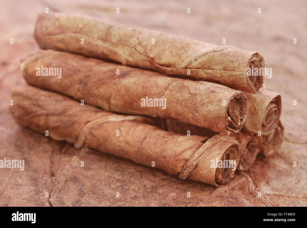 rolled tobacco leaves Dry rolled tobacco leaves on textured surface Stock Photo