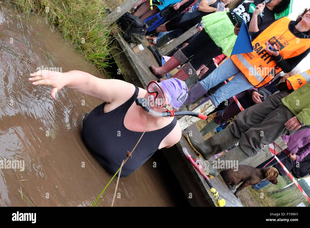 Llanwrtyd Wells, Powys, Wales - Sunday 30th August 2015 - Competitor Jayne Williams from San Francisco USA ready to start her snorkelling challenge at this years 30th World Bog Snorkelling Championship. Stock Photo