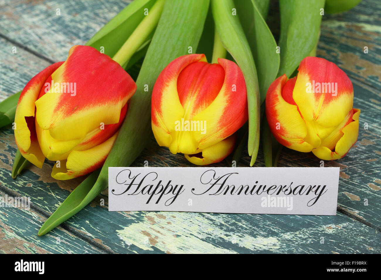 Happy Anniversary card with red and yellow tulips Stock Photo - Alamy