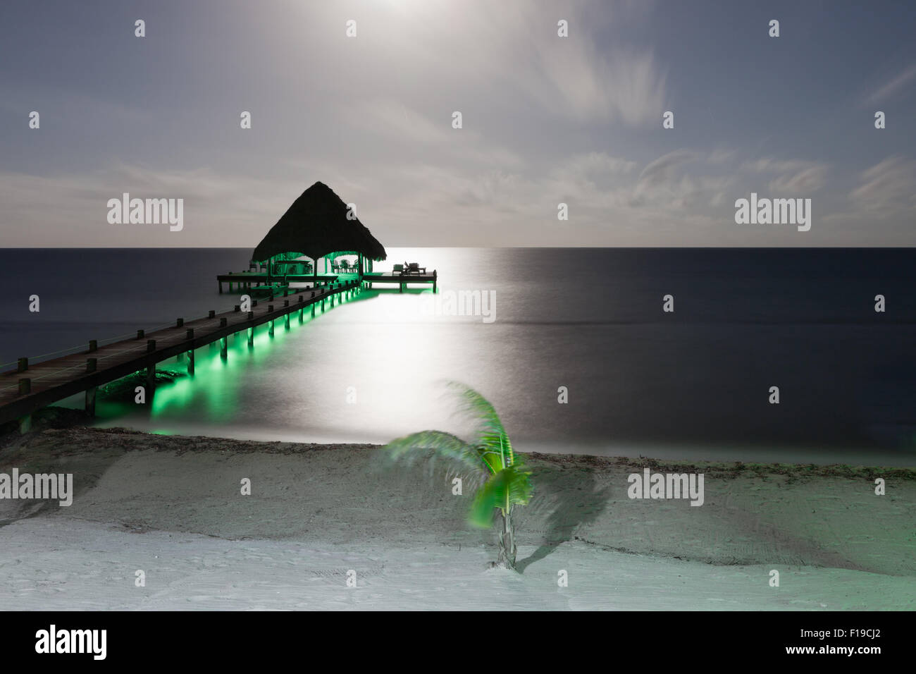 A long exposure of a beach with a dock and small palm tree lit by the moonlight and moving in the wind. Stock Photo