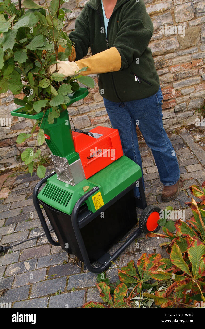 Person shredding organic garden waste with a domestic shredder.a UK