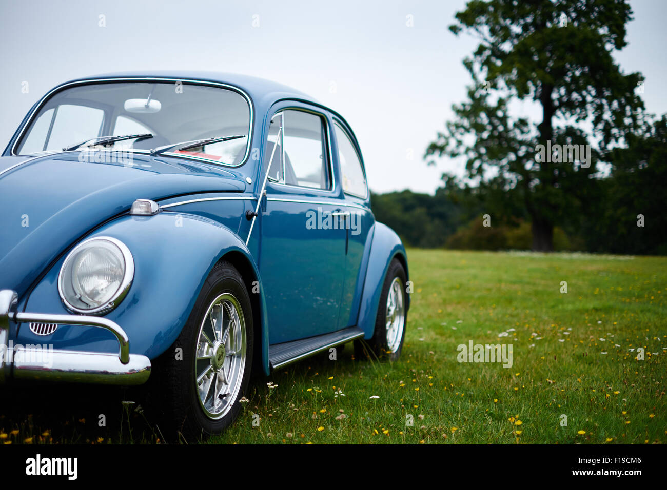 Vintage blue Volkswagen VW Beetle car in a field of grass and flowers ...