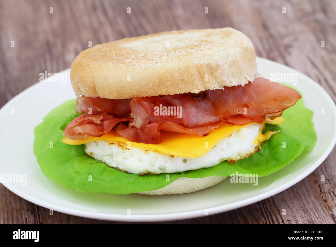 Egg and bacon muffin, closeup Stock Photo Alamy