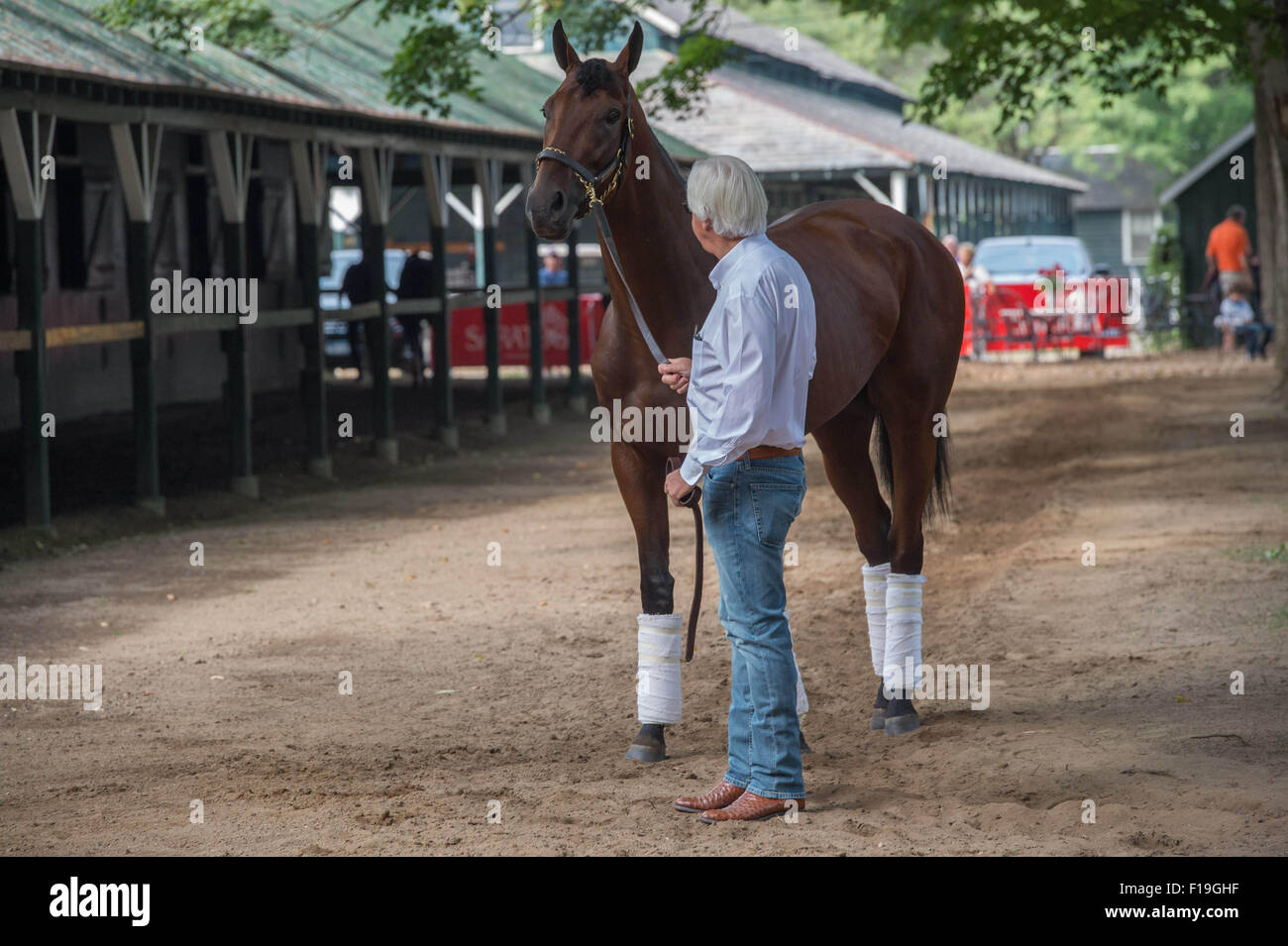 Saratoga Springs, New York, USA. 1st Jan, 2014. Trainer BOB BAFFERT with Triple Crown winner AMERICAN PHAROAH this morning, after finishing second yesterday in the Travers Stakes at Saratoga Racecourse, Sunday August 30, 2015. Credit:  Bryan Smith/ZUMA Wire/Alamy Live News Stock Photo