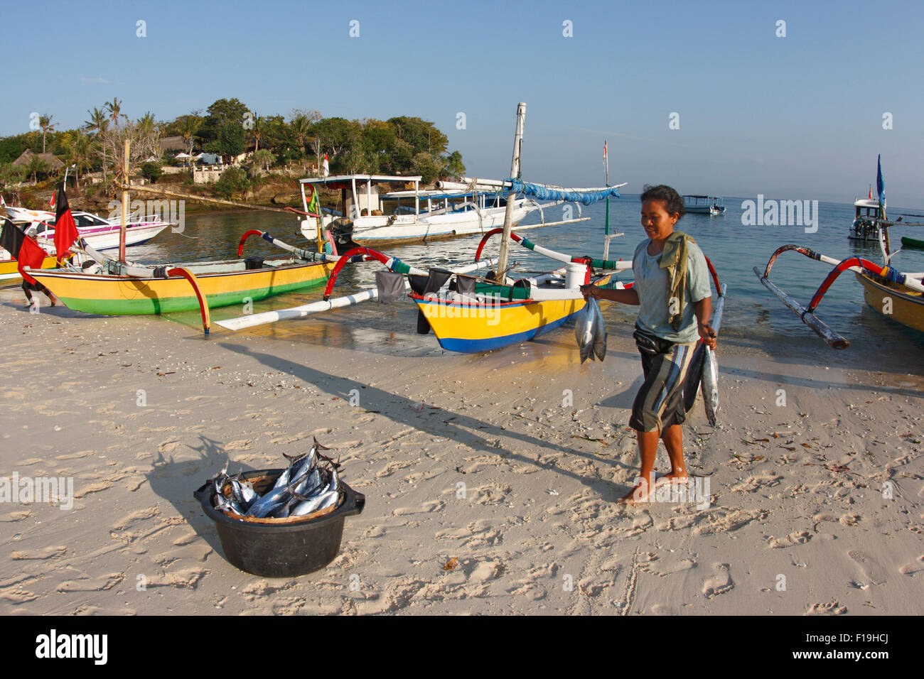 px42428-D. woman offloading tuna from traditional fishing boat. Lembongan Island, Indonesia. Photo Copyright © Brandon Cole. All Stock Photo