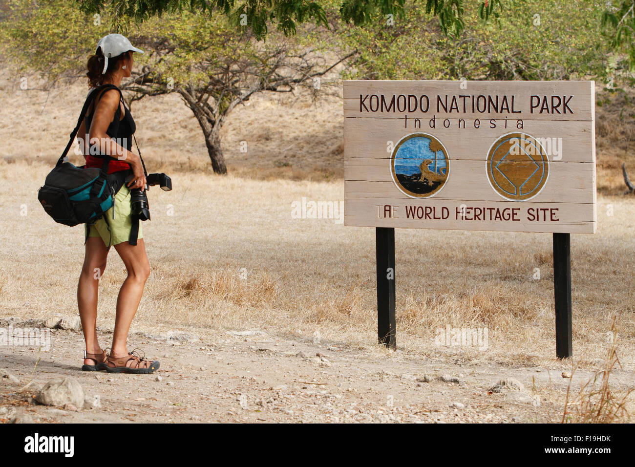 px91524-D. tourist (model released) on Rinca island hikes to see Komodo Dragons in their natural habitat. Komodo National Park Stock Photo