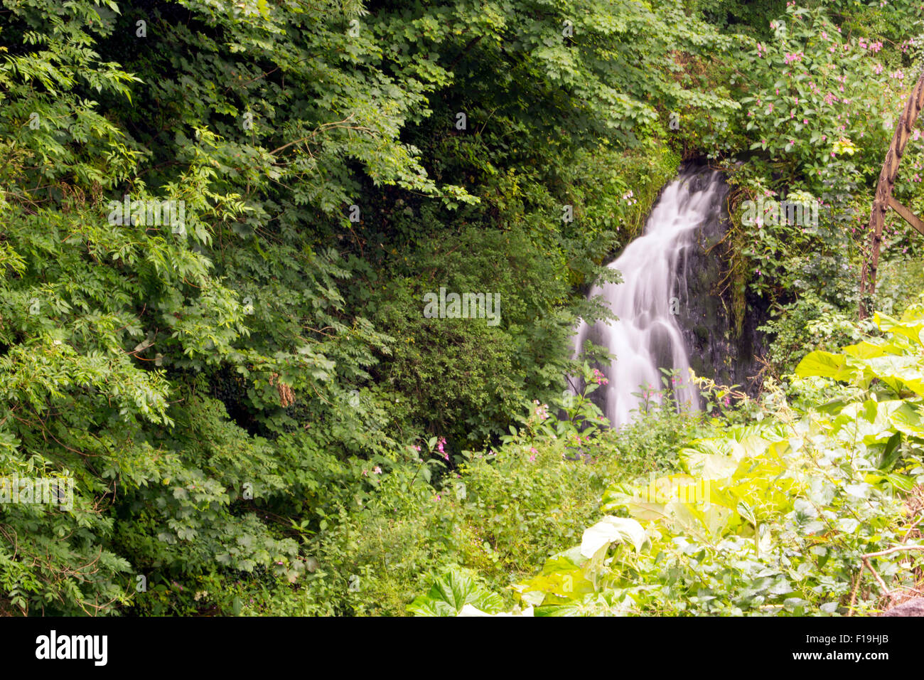 Humbleton Falls in Northumberland Wooler North East England UK Stock