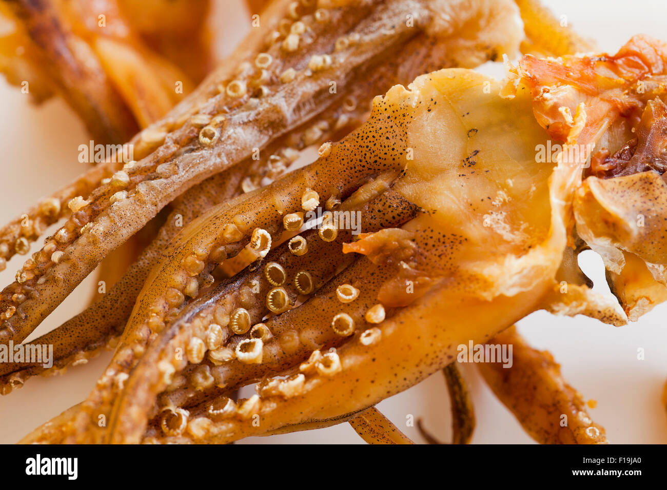 Japanese Dried Squid