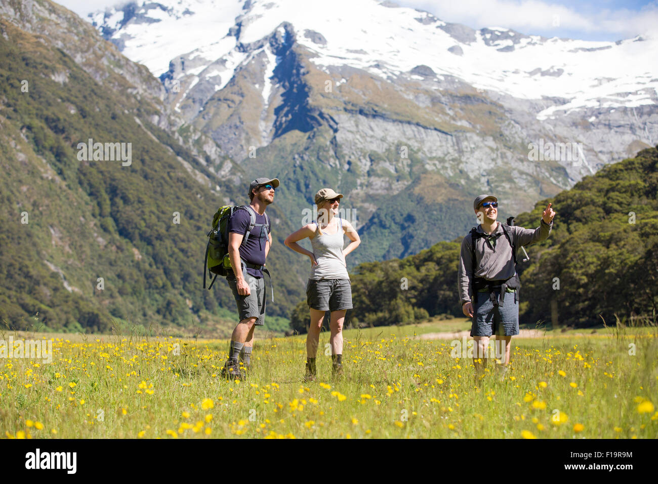 New Zealand, South Island, Mt Aspiring National Park, Siberia, group hiking in mountains with yellow valley floor flowers. Stock Photo